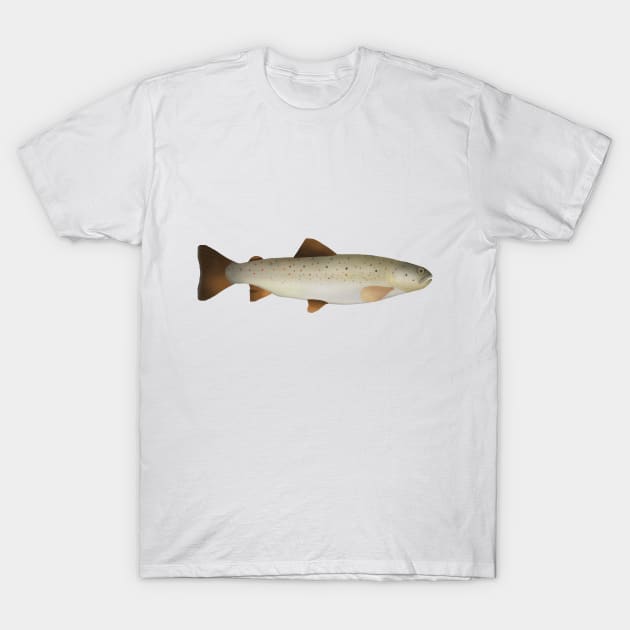 Caspian trout T-Shirt by FishFolkArt